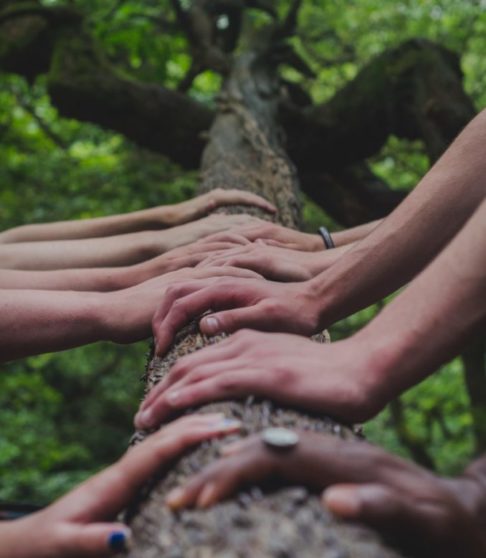 shane-rounce-DNkoNXQti3c-unsplash shane-rounce-DNkoNXQti3c-unsplash